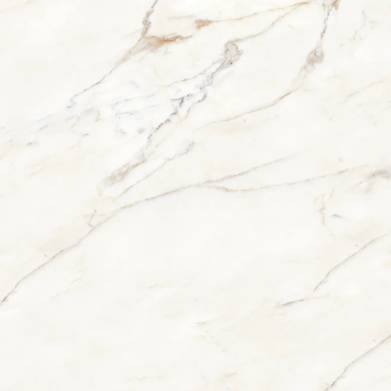 Calacatta Gold Porcelain Slab 60" x 126" - 1/2" Thick